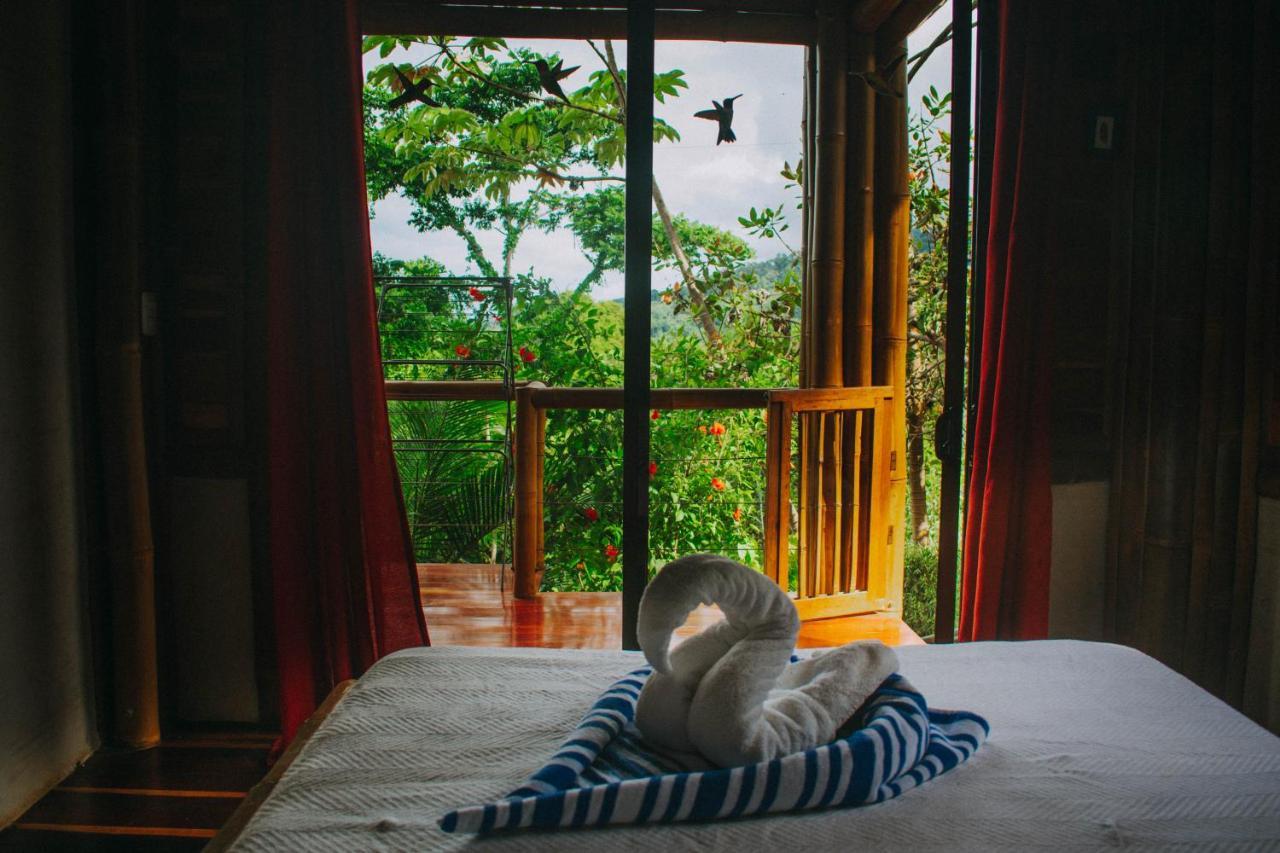 Bambura Hermosa Villas Uvita Exteriör bild