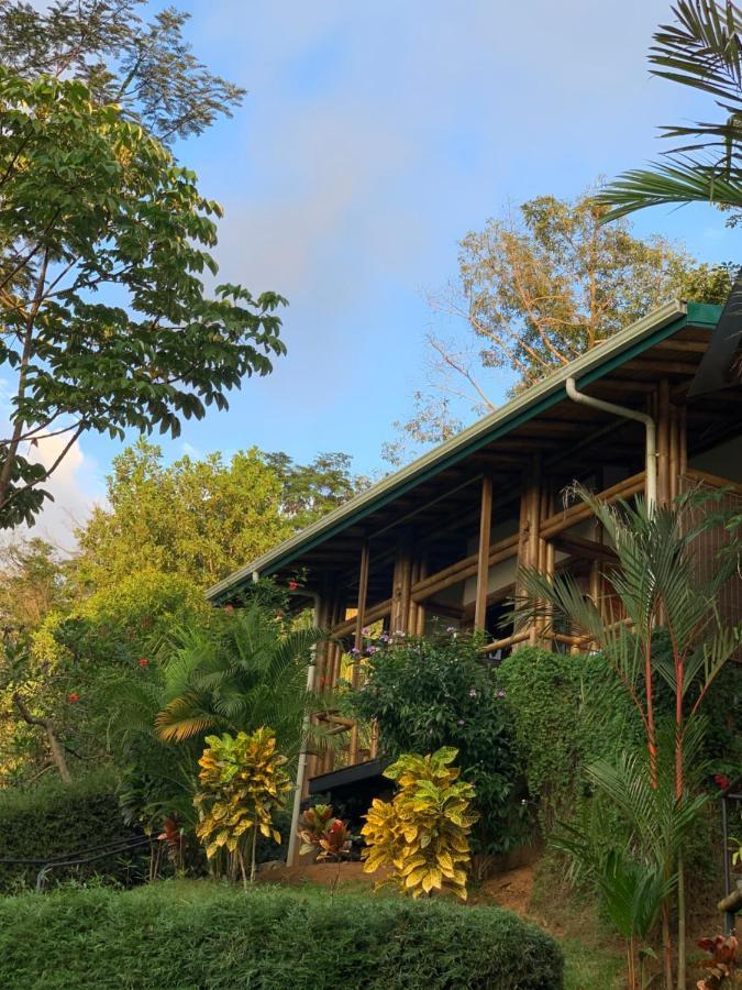 Bambura Hermosa Villas Uvita Exteriör bild