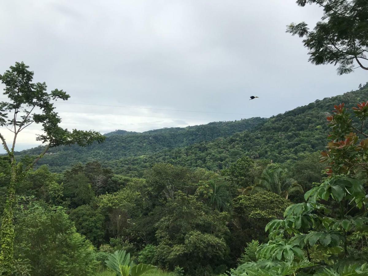 Bambura Hermosa Villas Uvita Exteriör bild