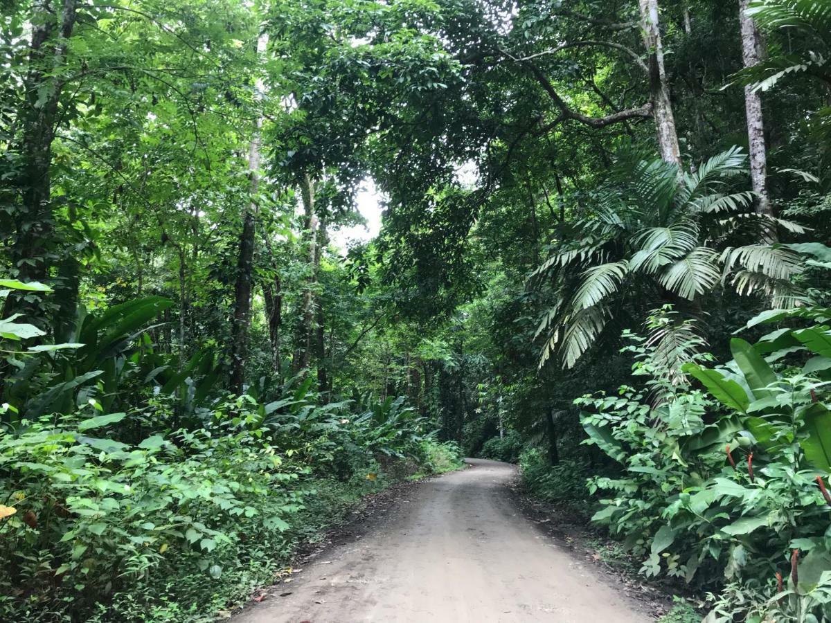 Bambura Hermosa Villas Uvita Exteriör bild